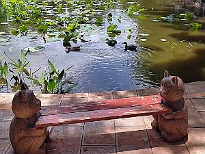 Kunming - Parc Cuihu - 33